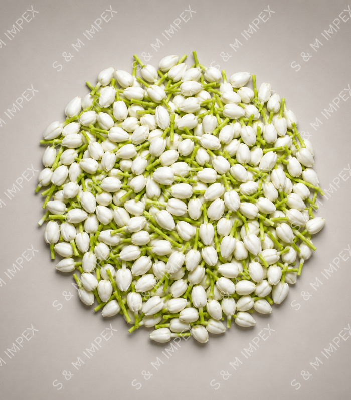 Handmade Loose Jasmine Flowers – 100 Pieces